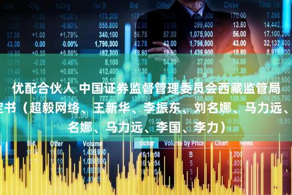 优配合伙人 中国证券监督管理委员会西藏监管局行政处罚决定书（超毅网络、王新华、李振东、刘名娜、马力远、李国、李力）